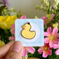 hand holding gentle duck mini pin under natural lighting